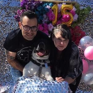 Meet your Posher, Josh